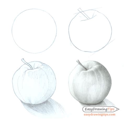 Apple Drawing Images at PaintingValley.com | Explore collection of ...