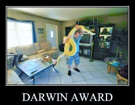 darwin-award-2 - Vivian Lawry