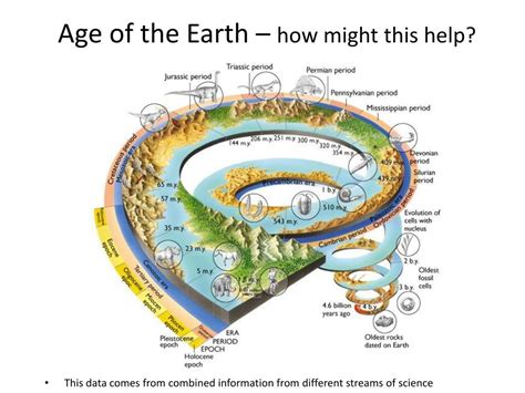 PPT - Evolution PowerPoint Presentation, free download - ID:2357769