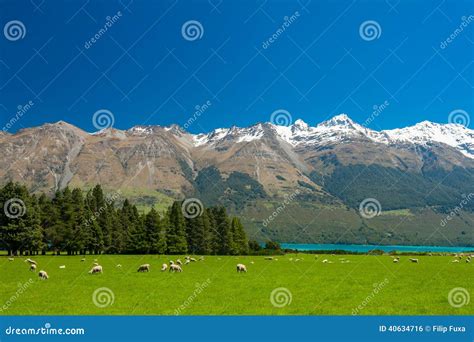 New Zealand Mountains Stock Photo - Image: 40634716