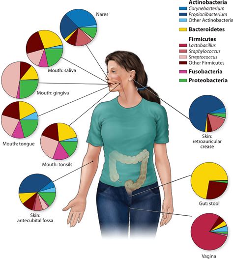 [PDF] The human microbiome: our second genome. | Semantic Scholar