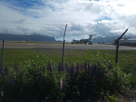 Getting around the Lofoten — Solo Female Wanderer