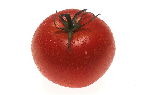 File:Tomato (1).jpg - Wikimedia Commons