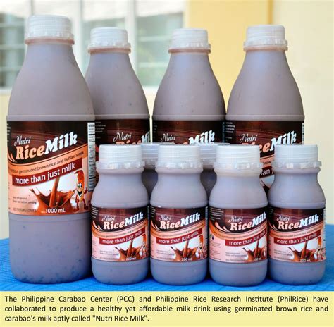 Local dairy producers set sights on improved products “with a twist” – Philippine Carabao Center