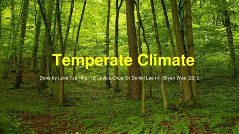 PPT - Temperate Climate PowerPoint Presentation, free download - ID:3065220