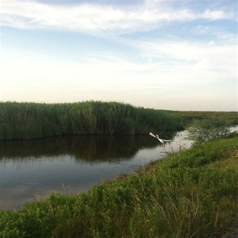 Anahuac National Wildlife Refuge - Anahuac, TX