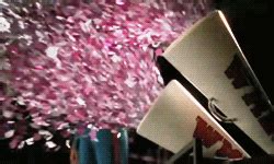 confetti gifs | WiffleGif