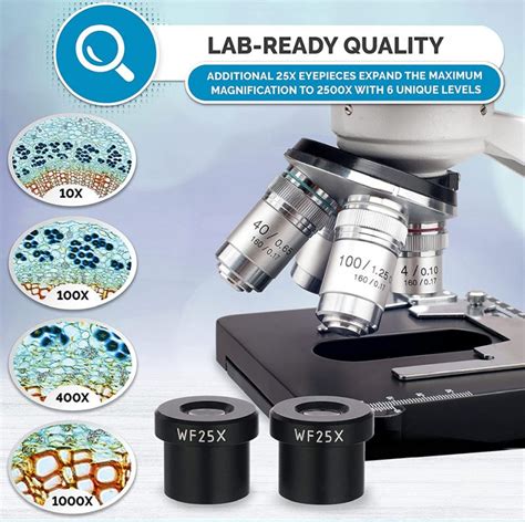 AMSCOPE B120C Microscope Reviews: Your Ultimate Guide to Buying the ...