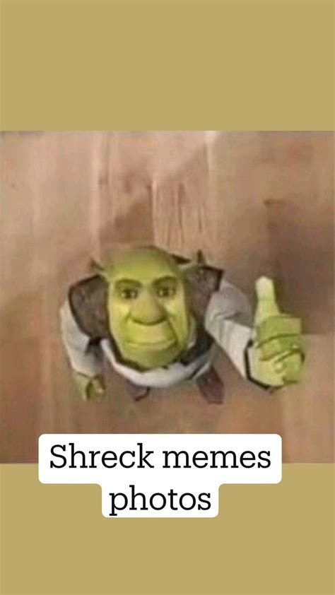 Shreck memes photos in 2023 | Funny memes, Funny images, Memes