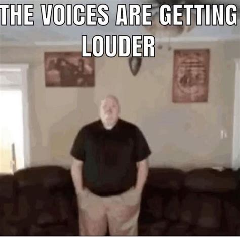 The Voices Are Getting Louder : r/memes