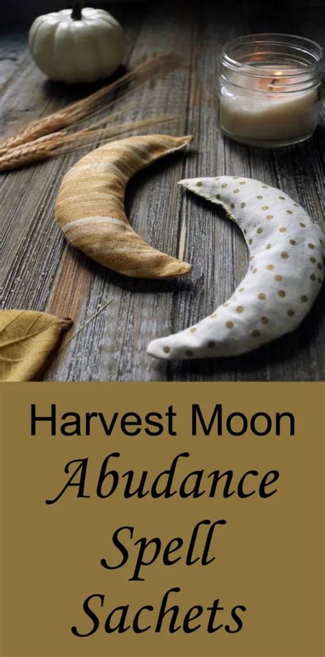 DIY Harvest Moon Abundance Spell Sachets - Moody Moons | Diy harvest ...