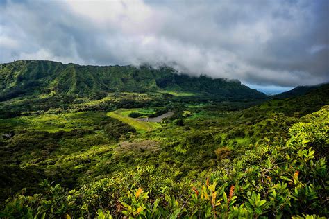 University of Hawaii College of Tropical Agriculture and Human Resources – Sasaki