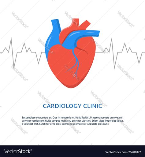 Cardiology clinic banner with place for text Vector Image