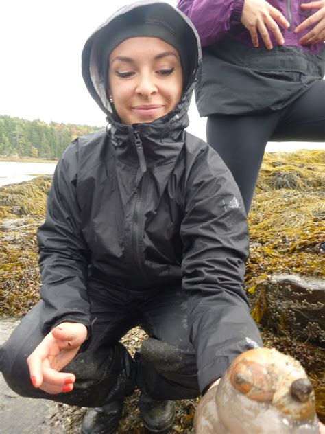 An Ocean Lover in Maine: October 2014