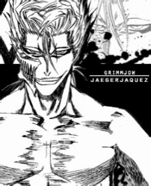 Grimmjow GIFs | Tenor