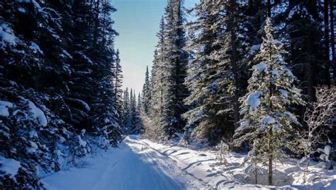 Sundance Lodge: Banff's Secret Winter Destination | Hike Bike Travel