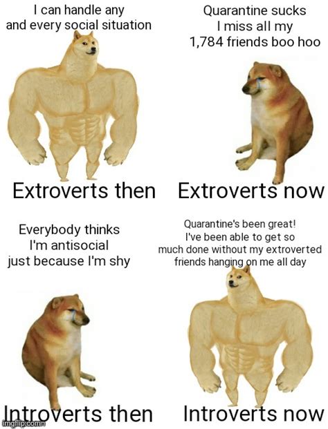 Image Tagged In Buff Doge Vs Cheems Introverts Extroverts | Free Nude ...