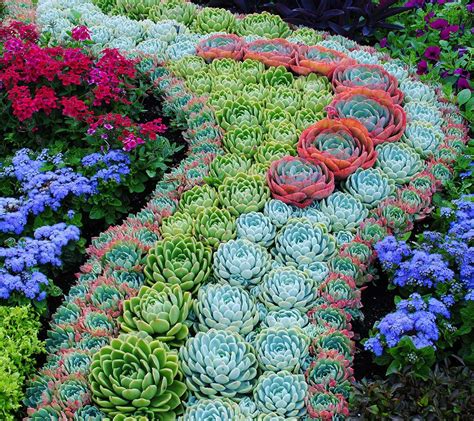 15 Delightful Succulent Gardens That Will Inspire You - Page 2 of 2