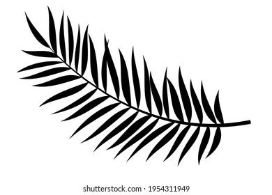 Palm Leaf Vector Background Illustration Realistic Stock Vector (Royalty Free) 1954311949 ...