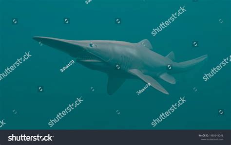 Goblin Shark Deep Sea 3d Rendering Stock Illustration 1985643248 | Shutterstock