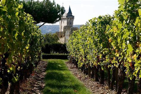 Loire Valley Half Day Wine Tour from City of Tours : 2 wine tastings in Vouvray | Loire valley ...