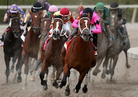 10 racehorses killed after truck crashes and bursts…