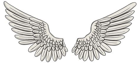 Comment dessiner des ailes - Créer un croquis d'ailes facile et ...