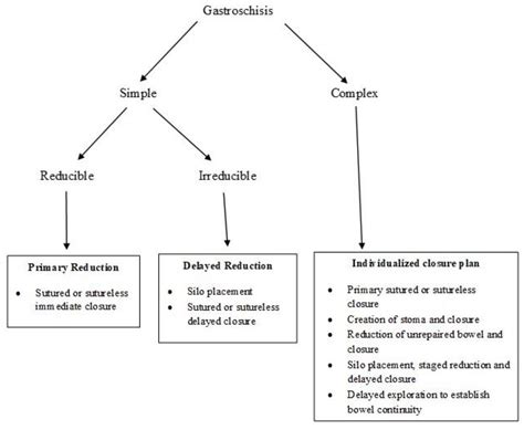 Children | Free Full-Text | Gastroschisis: A State-of-the-Art Review