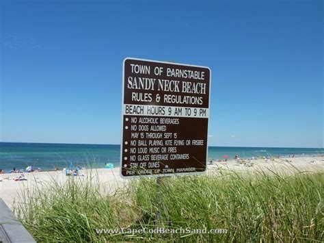 Sandy Neck Beach - Barnstable Beach