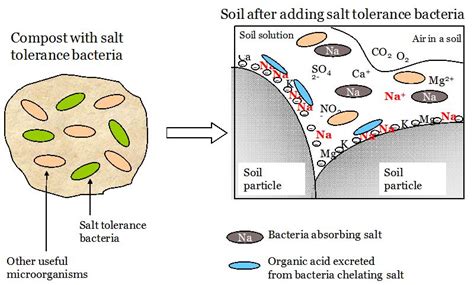 Difference Between In Situ and Ex Situ Bioremediation | Compare the Difference Between Similar Terms