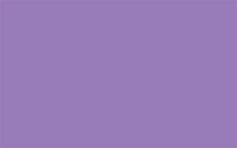 2560x1600 Lavender Purple Solid Color Background