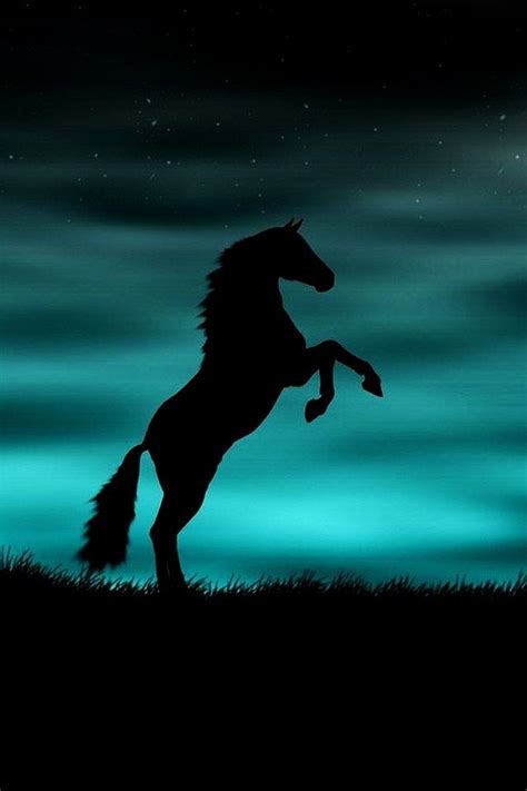 Cute Horses, Pretty Horses, Horse Love, Silhouette Painting, Horse Silhouette, Beautiful ...