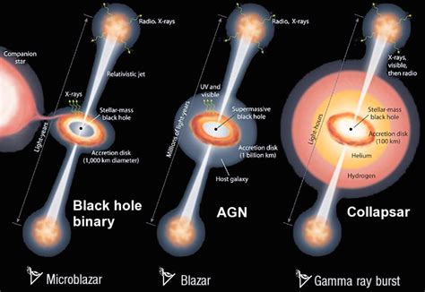 How galaxies and black holes grow together – Artofit