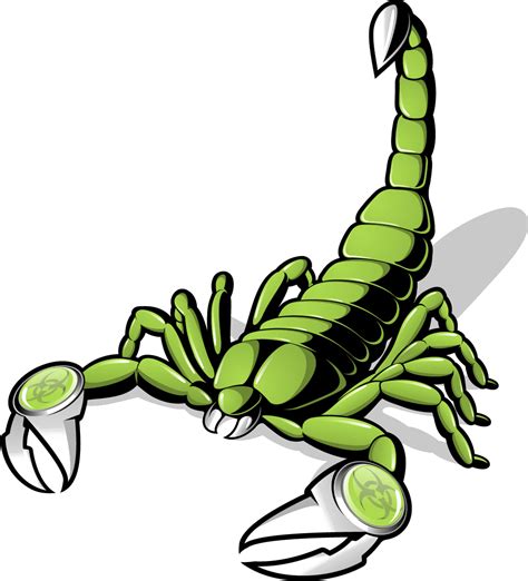 Scorpion Euclidean vector Clip art - Scorpions png download - 1081*1191 ...