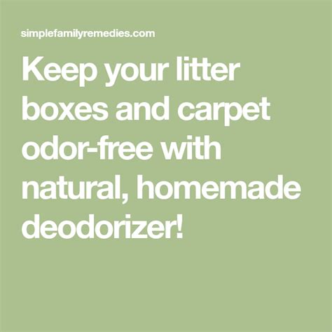 DIY Kitty Litter (and Carpet!) Deodorizer | Carpet deodorizer, Carpet odors, Deodorant