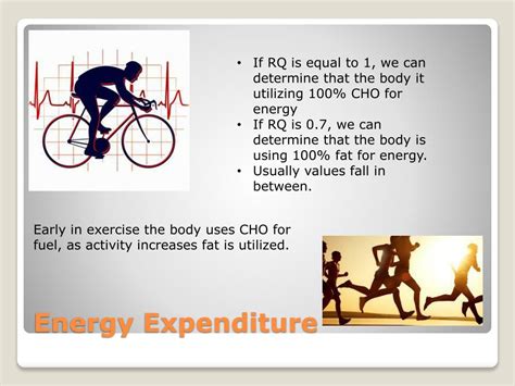 PPT - Respiratory Quotient PowerPoint Presentation, free download - ID:6271178