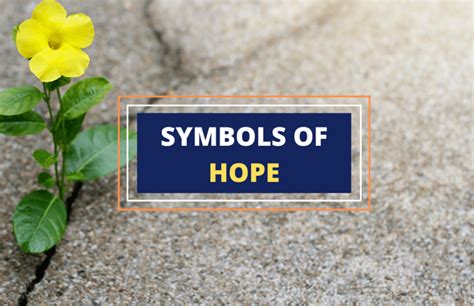 15 Powerful Symbols of Hope and What They Stand For