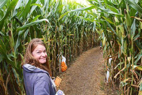 Fun Corn Maze Fun | Cuyahoga Falls @ Cuyahoga Valley Nationa… | Flickr ...