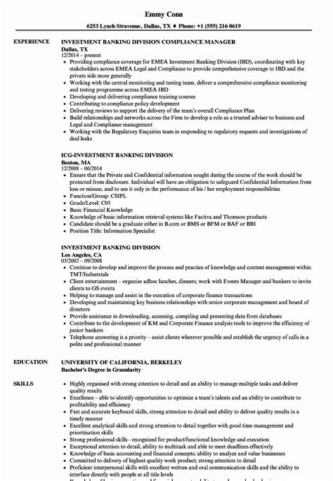 41+ Goldman sachs resume examples For Your Application