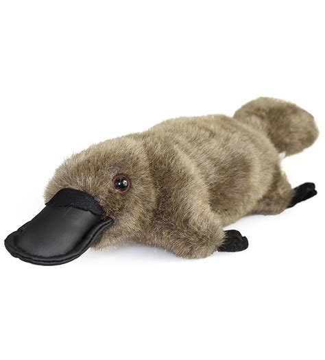 Australian Made Platypus Plush Toy - Australia's No1. Souvenir Store ...