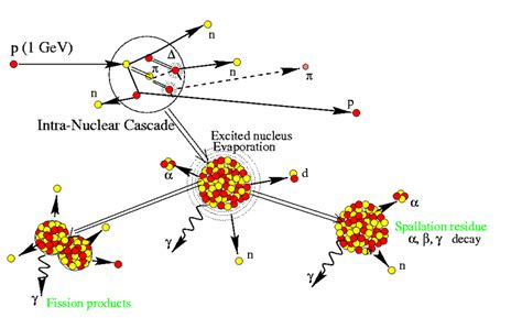 Modeling of spallation reactions