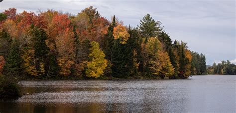 Lows lake 10/3/2019 : r/Adirondacks