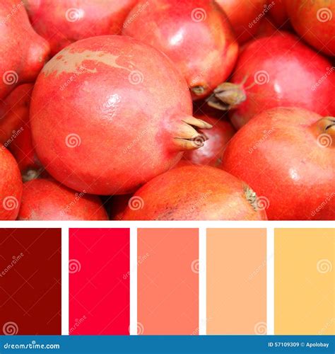 Close Up of Pomegranate on Market . Color Palette Swatches. Stock Image - Image of garden ...