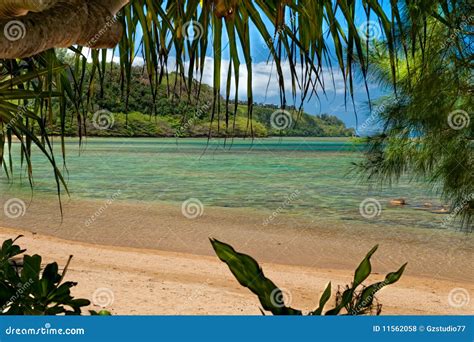 Anini Beach - Kauai Hawaii stock photo. Image of paradise - 11562058