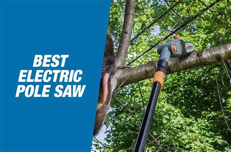 Best Electric Pole Saws 2022 - Reviews & Buying Guide - FreshHandyman