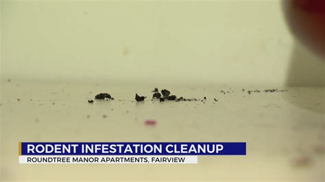 Rodent infestation cleanup at TN apartments – WKRN News 2