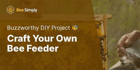 DIY Guide: Crafting Your Own Bee Feeder | Bee Simply