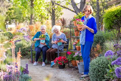 The benefits of gardening for seniors - Hollenbeck Palms