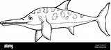 Ichthyosaurus Coloring Pages Coloring sketch template