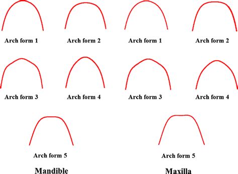 PDF] Evaluation Of Maxillary And Mandibular Arch Forms And, 42% OFF